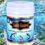 SAFE GUARD