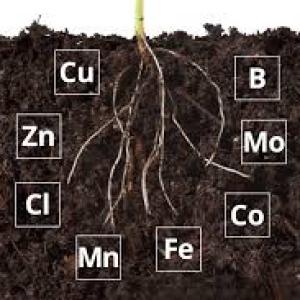 icon SOIL MICRONUTRIENT