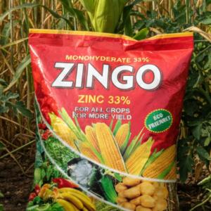 ZINGO